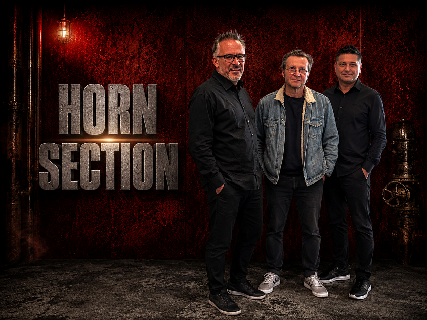 Red Cube Horn Section